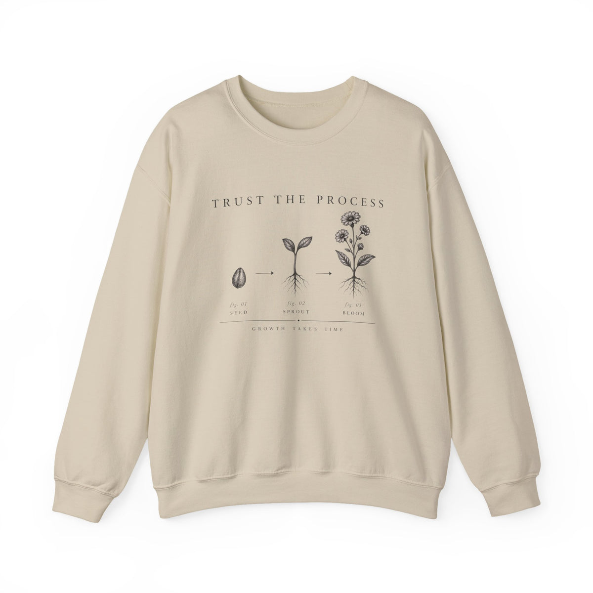 Trust the Process Seedling Growth Illustration Sweatshirt | Botanical Plant Progress