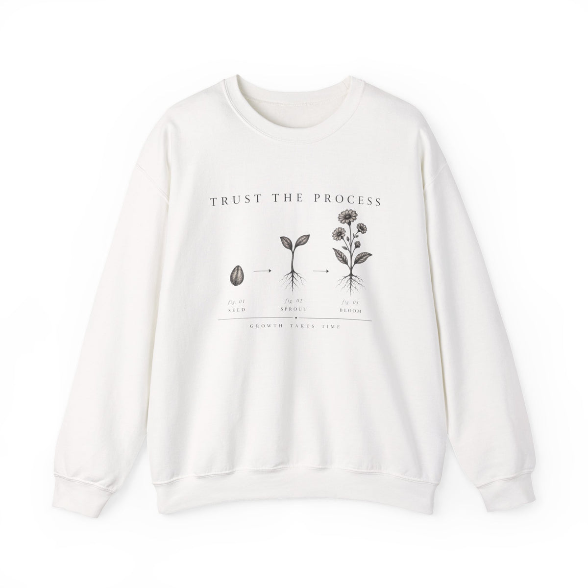 Trust the Process Seedling Growth Illustration Sweatshirt | Botanical Plant Progress