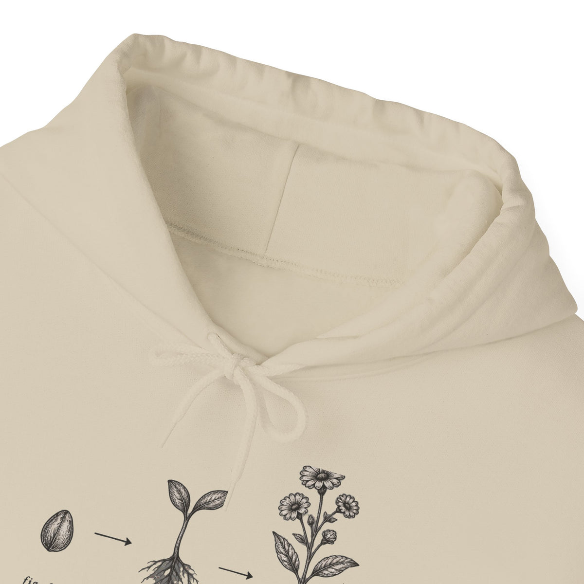 Seed to Bloom Illustration Hoodie | Botanical Plant Growth Diagram